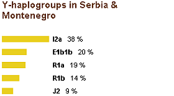 Y-haplogroups in Serbia and Montenegro