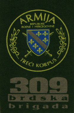 309 brdska brigada 1