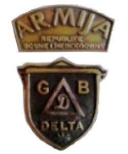gardijska brigada delta 2