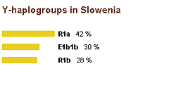 Y-haplogroups in Slovenia