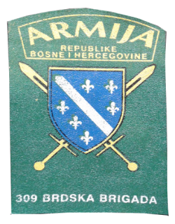 309 brdska brigada 2
